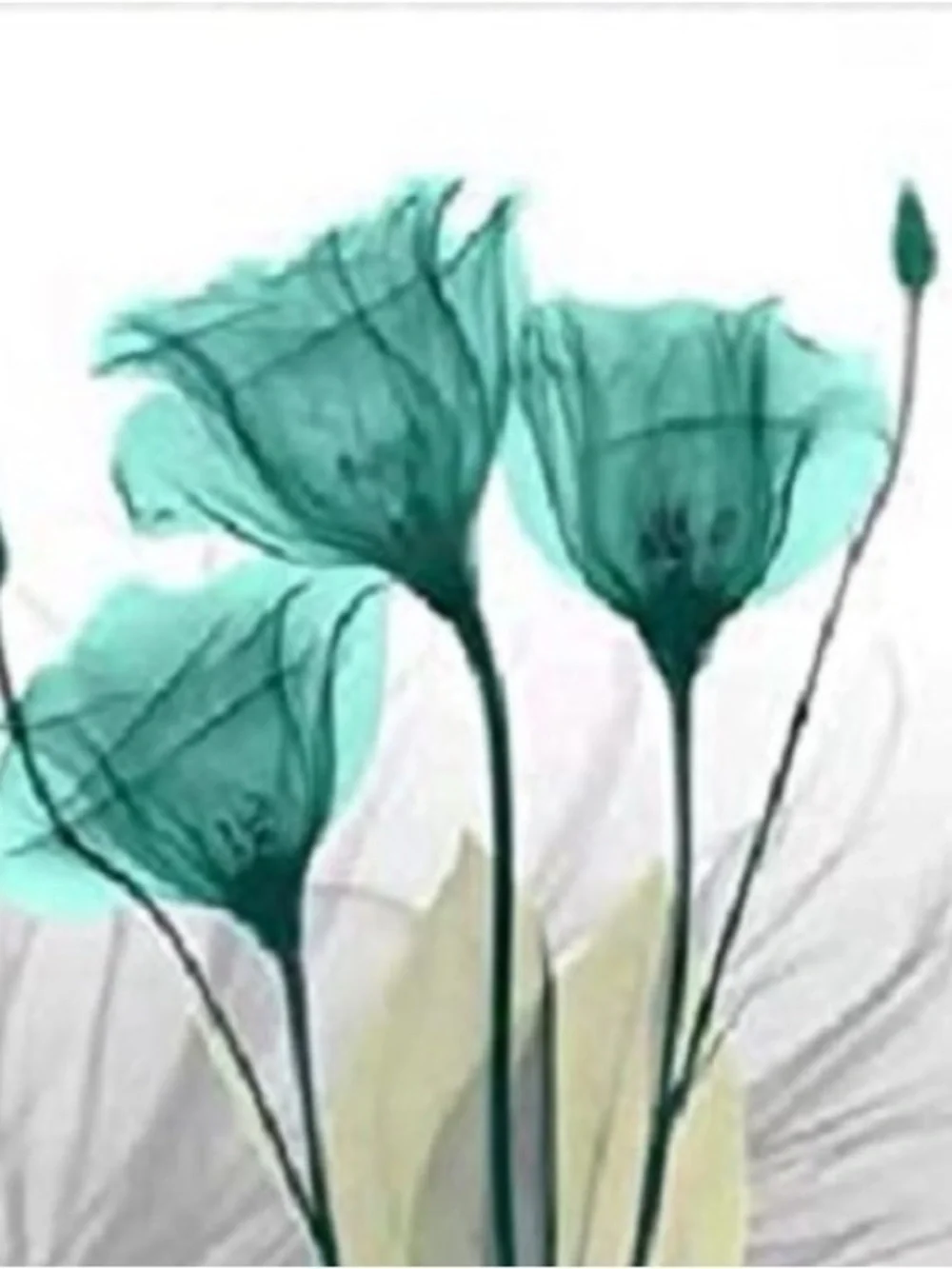 Hand-Painted Tulip Canvas Wall Art - Set of 4
